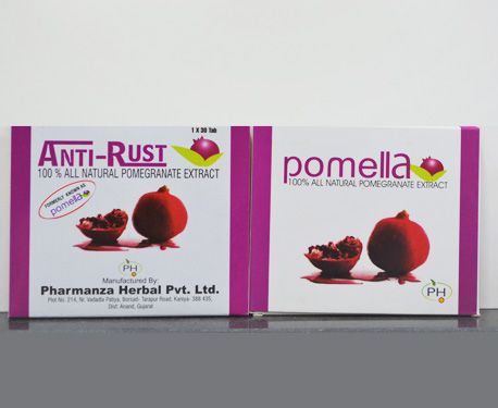 anti-rust-box Anti Rust